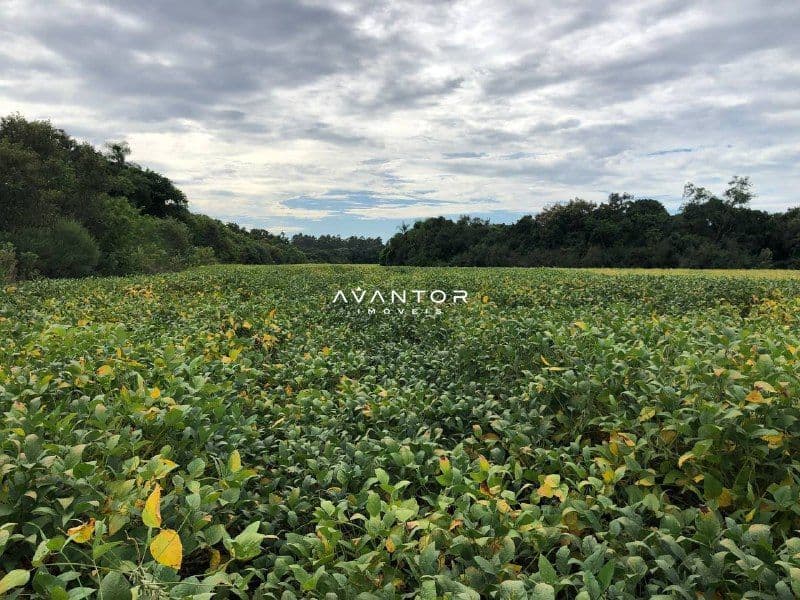 Campo à venda em Zona Rural, Rio Pardo/RS — foto 3 de 4