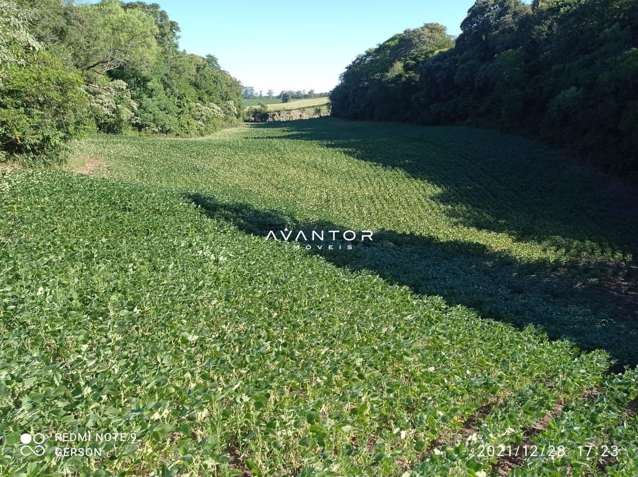Terreno com vegetação e área arborizada — Chácara à venda em Zona Rural, Itaara/RS