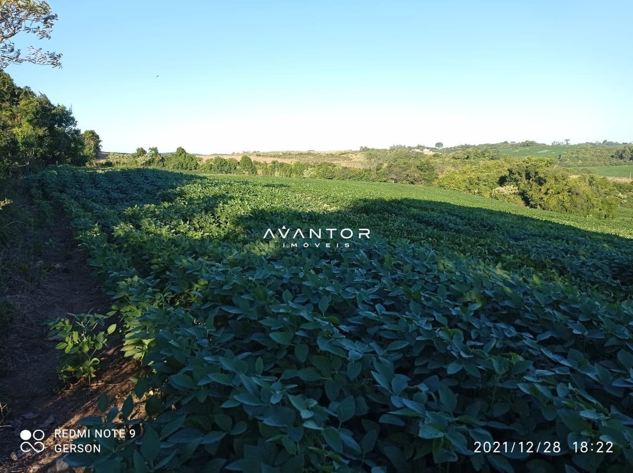 Chácara à venda em Zona Rural, Itaara/RS — foto 3 de 3