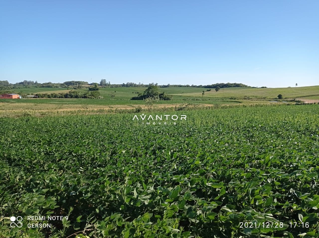 Terreno rural com plantação de soja — Chácara à venda em Zona Rural, Itaara/RS