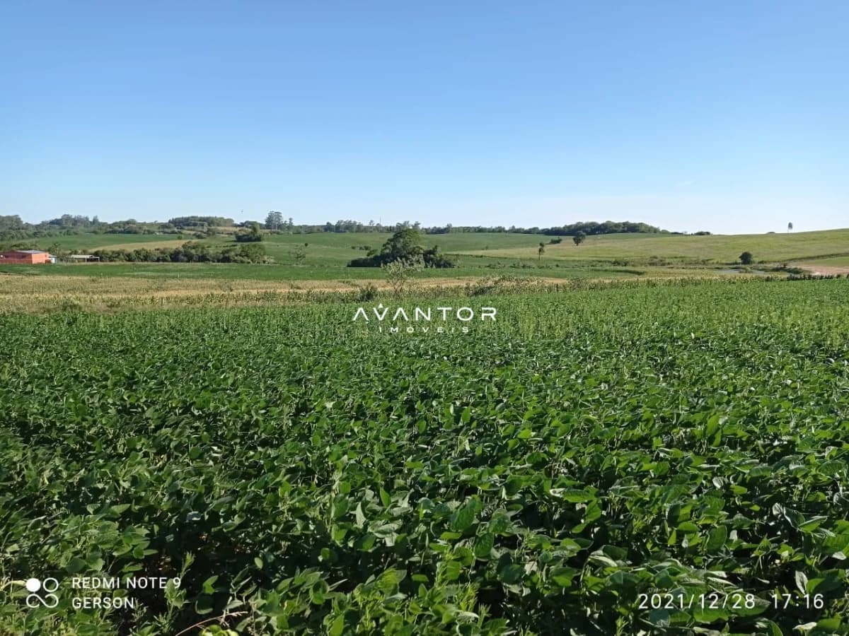 Terreno rural com plantação de soja — Chácara à venda em Zona Rural, Itaara/RS