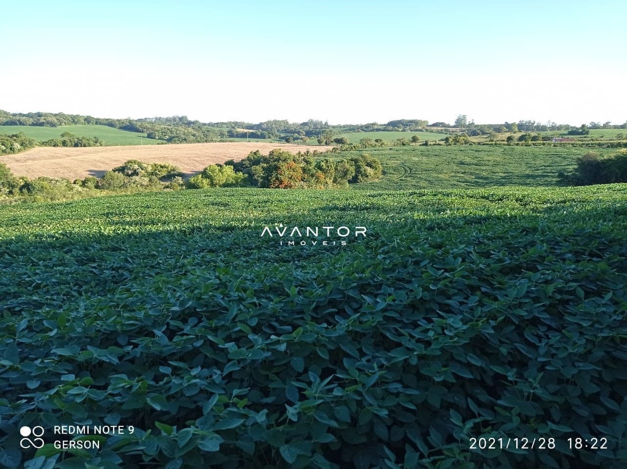 Chácara à venda em Zona Rural, Itaara/RS — foto 3 de 5