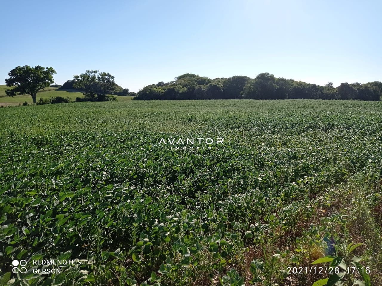 Chácara à venda em Zona Rural, Itaara/RS — foto 4 de 5