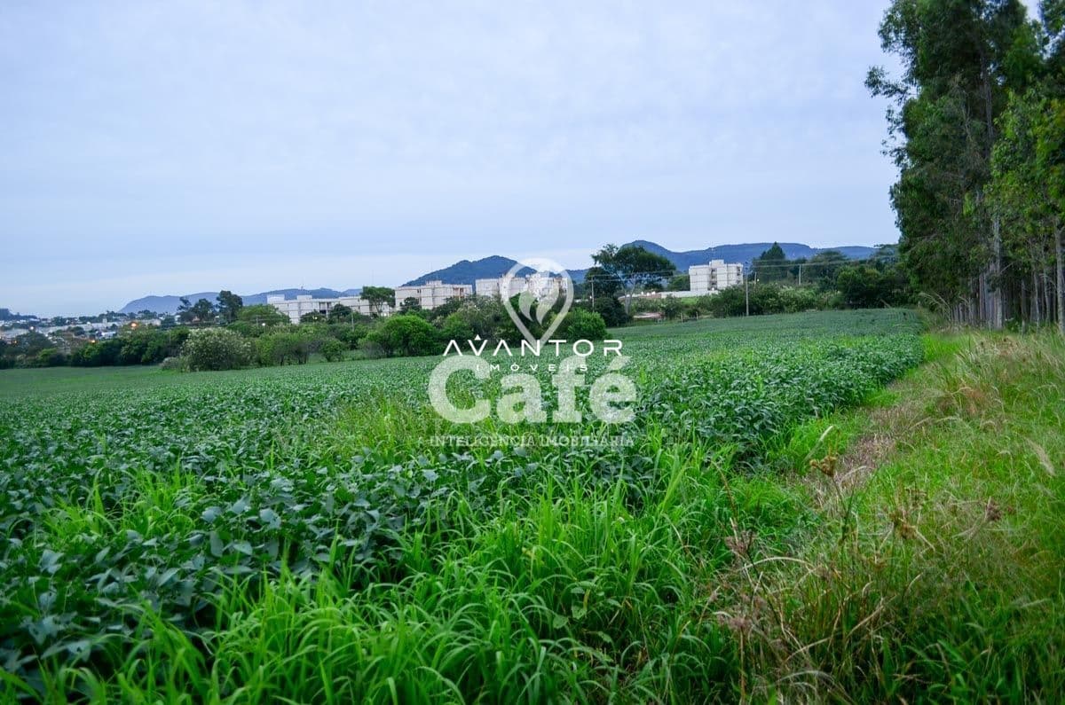 Terreno à venda em Cerrito, Santa Maria/RS — foto 3 de 4
