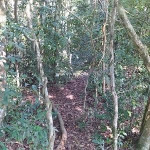 Chácara à venda em Boca do Monte, Santa Maria/RS — foto 5 de 11