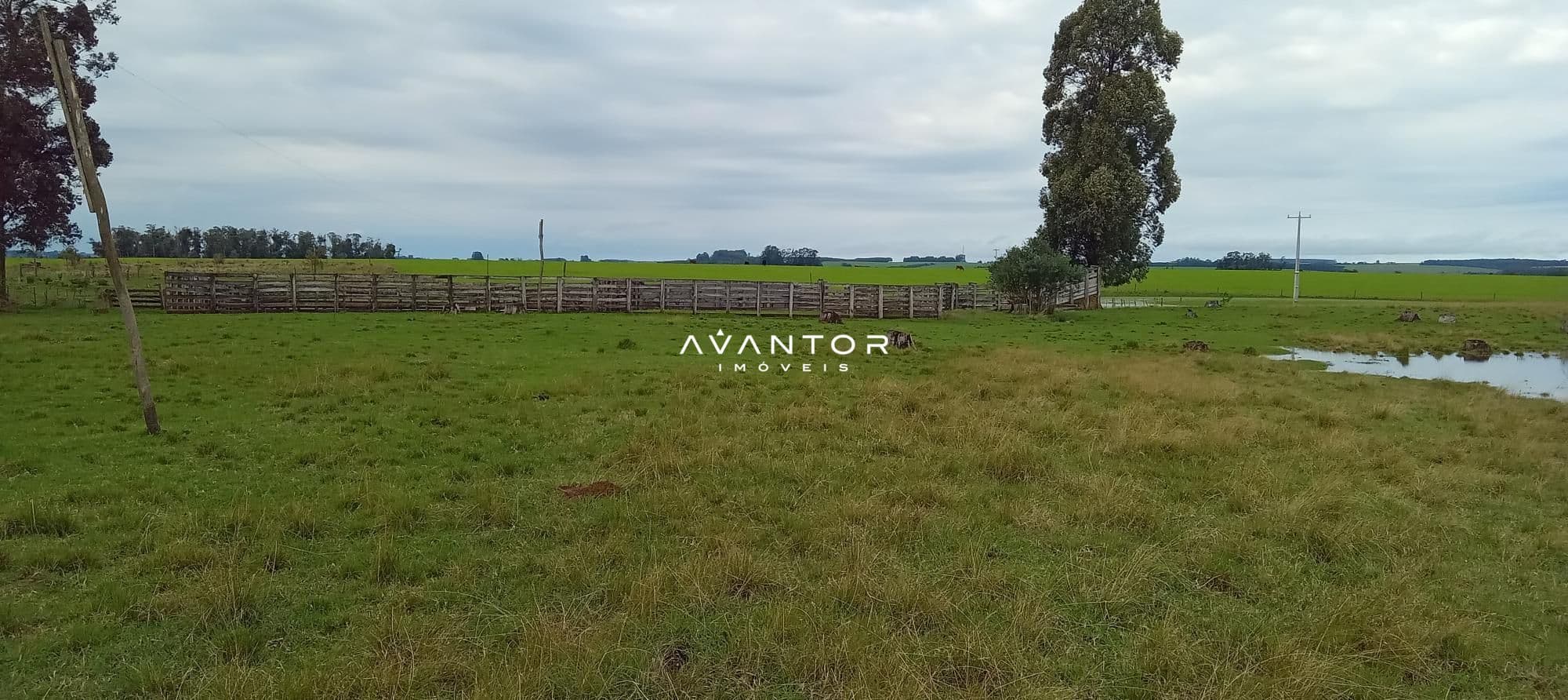 Campo à venda em Zona Rural, Cachoeira do Sul/RS — foto 3 de 26