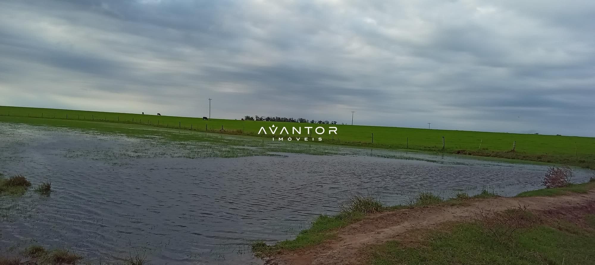 Campo à venda em Zona Rural, Cachoeira do Sul/RS — foto 8 de 26