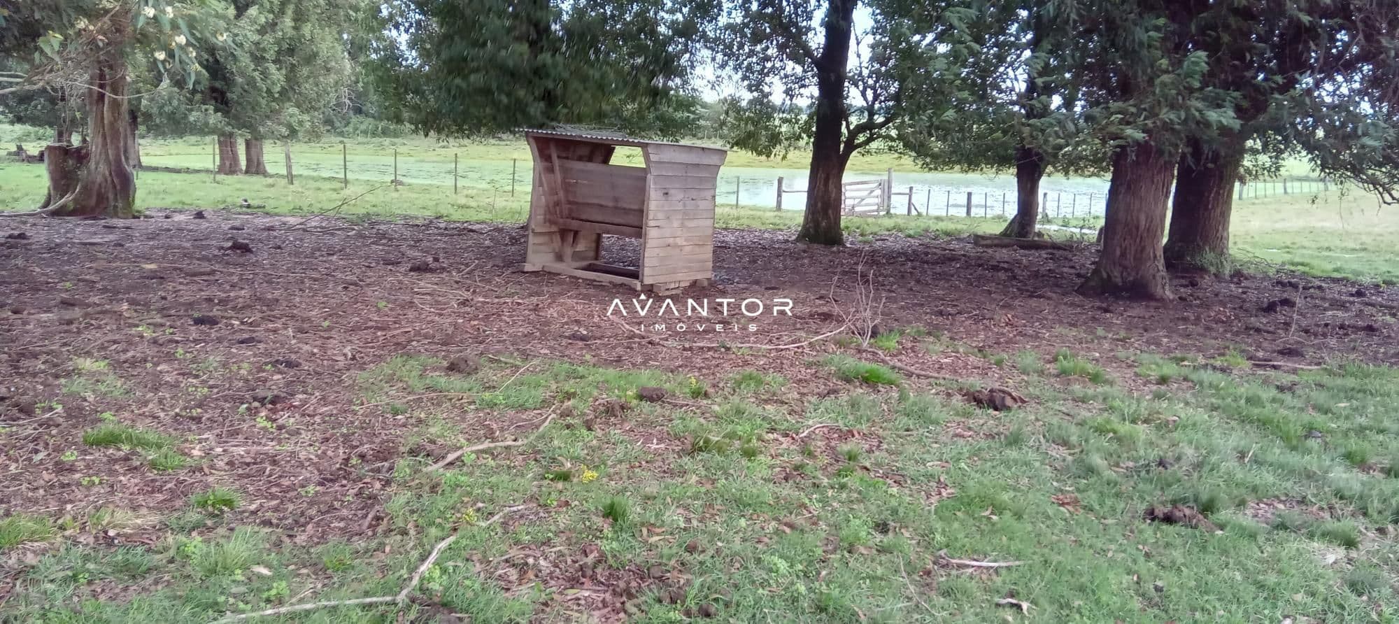 Campo à venda em Zona Rural, Cachoeira do Sul/RS — foto 9 de 26