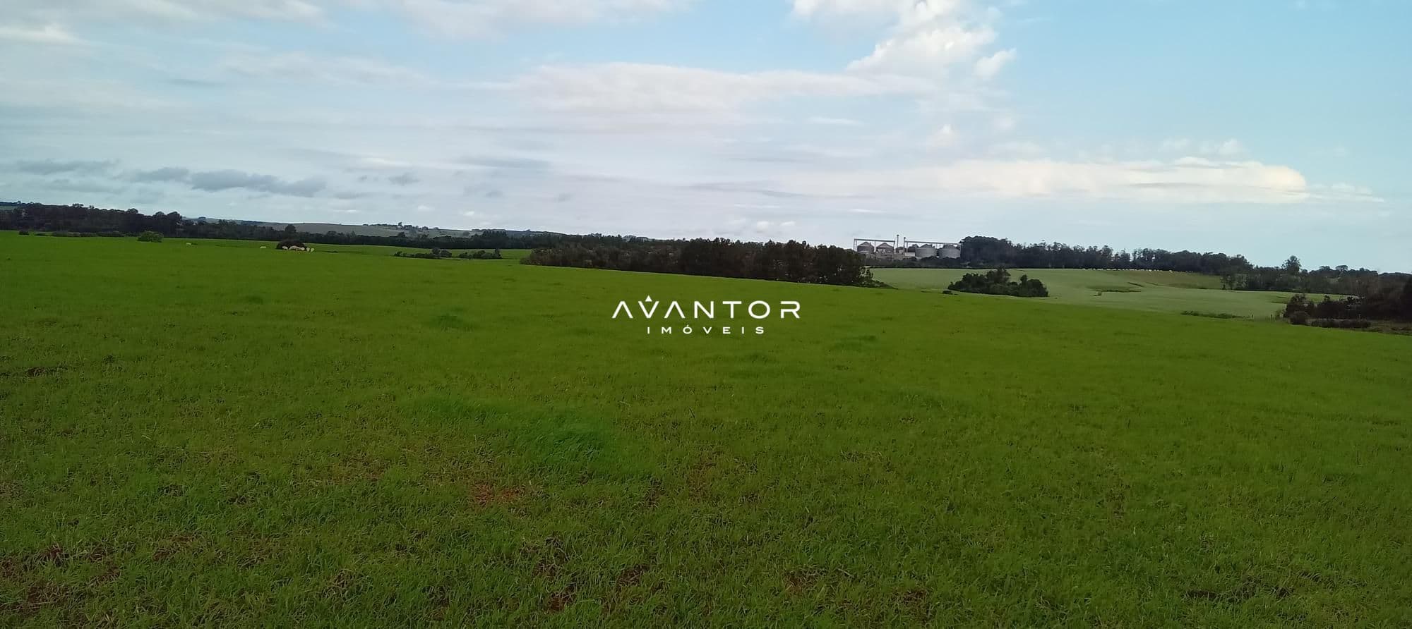 Campo à venda em Zona Rural, Cachoeira do Sul/RS — foto 10 de 26