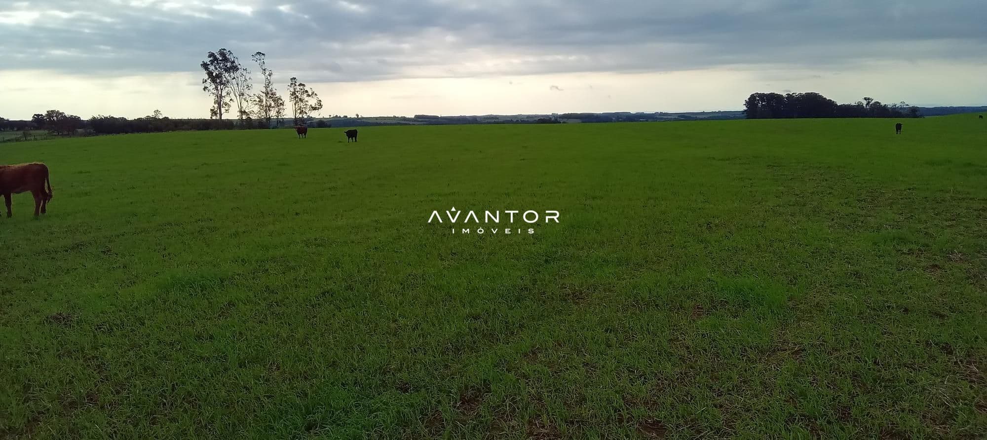 Campo à venda em Zona Rural, Cachoeira do Sul/RS — foto 12 de 26