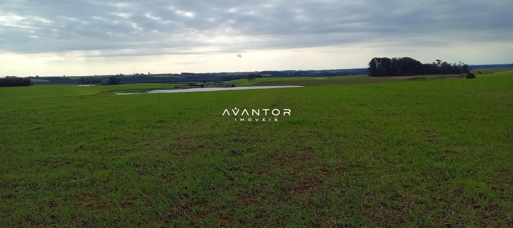 Campo à venda em Zona Rural, Cachoeira do Sul/RS — foto 13 de 26