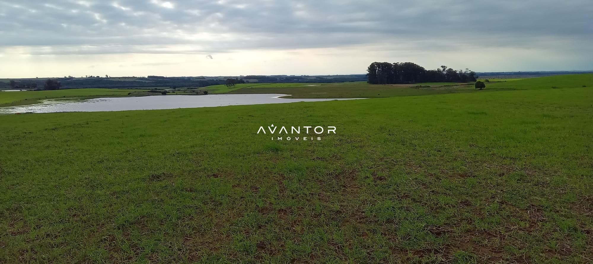 Campo à venda em Zona Rural, Cachoeira do Sul/RS — foto 14 de 26