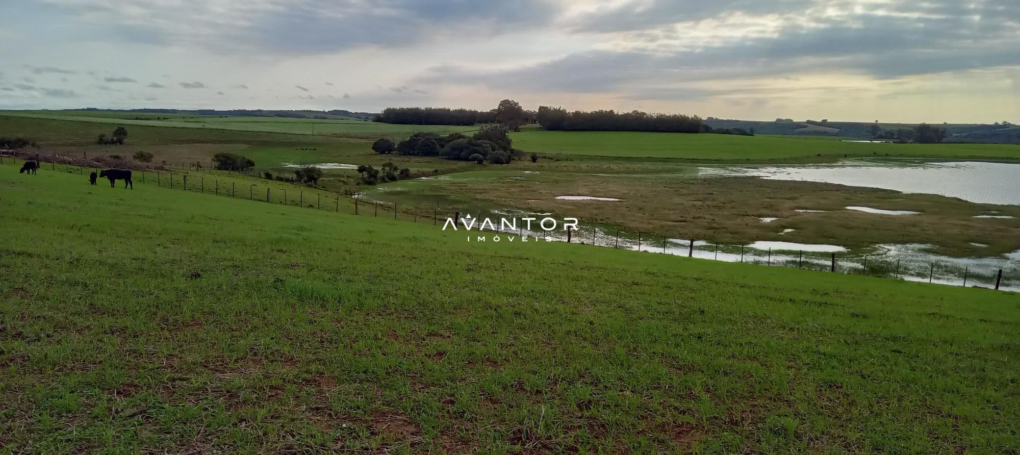 Campo à venda em Zona Rural, Cachoeira do Sul/RS — foto 15 de 26