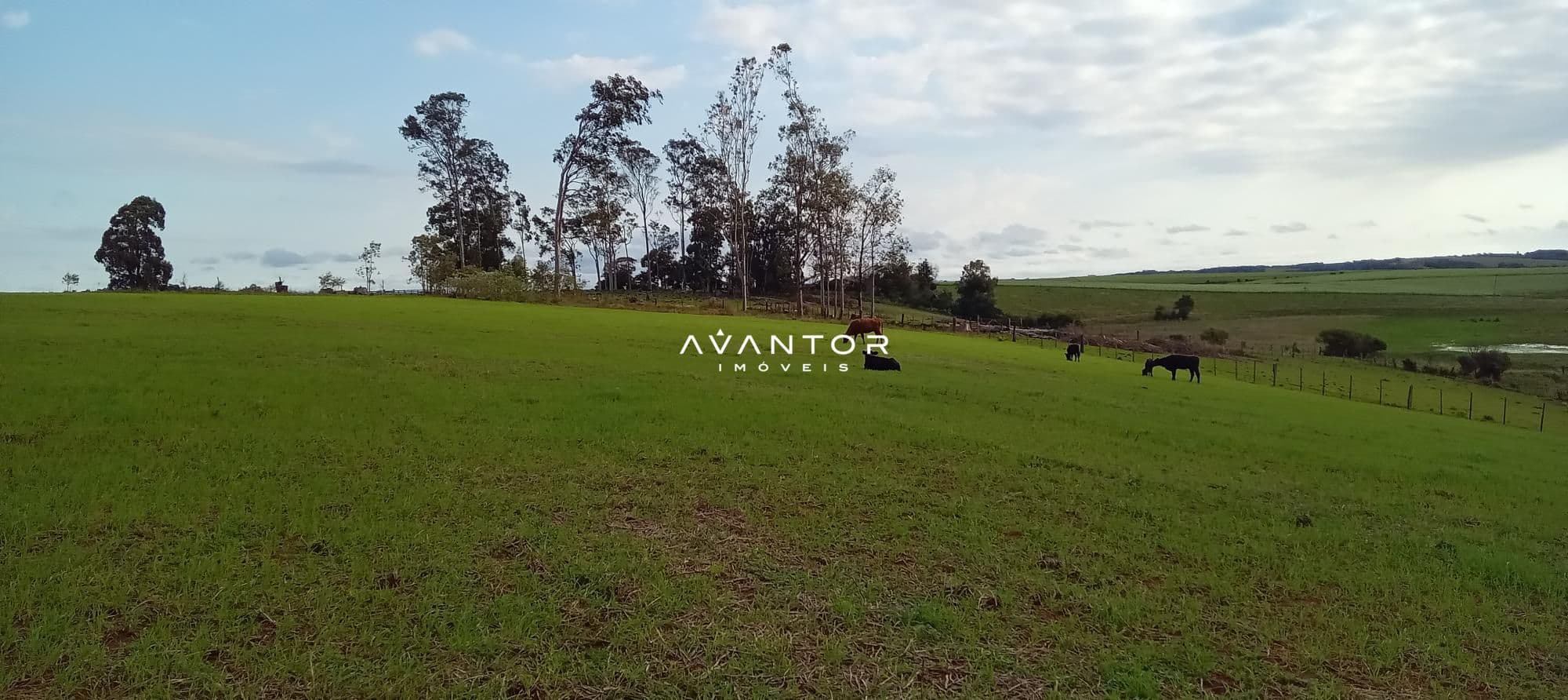 Campo à venda em Zona Rural, Cachoeira do Sul/RS — foto 16 de 26