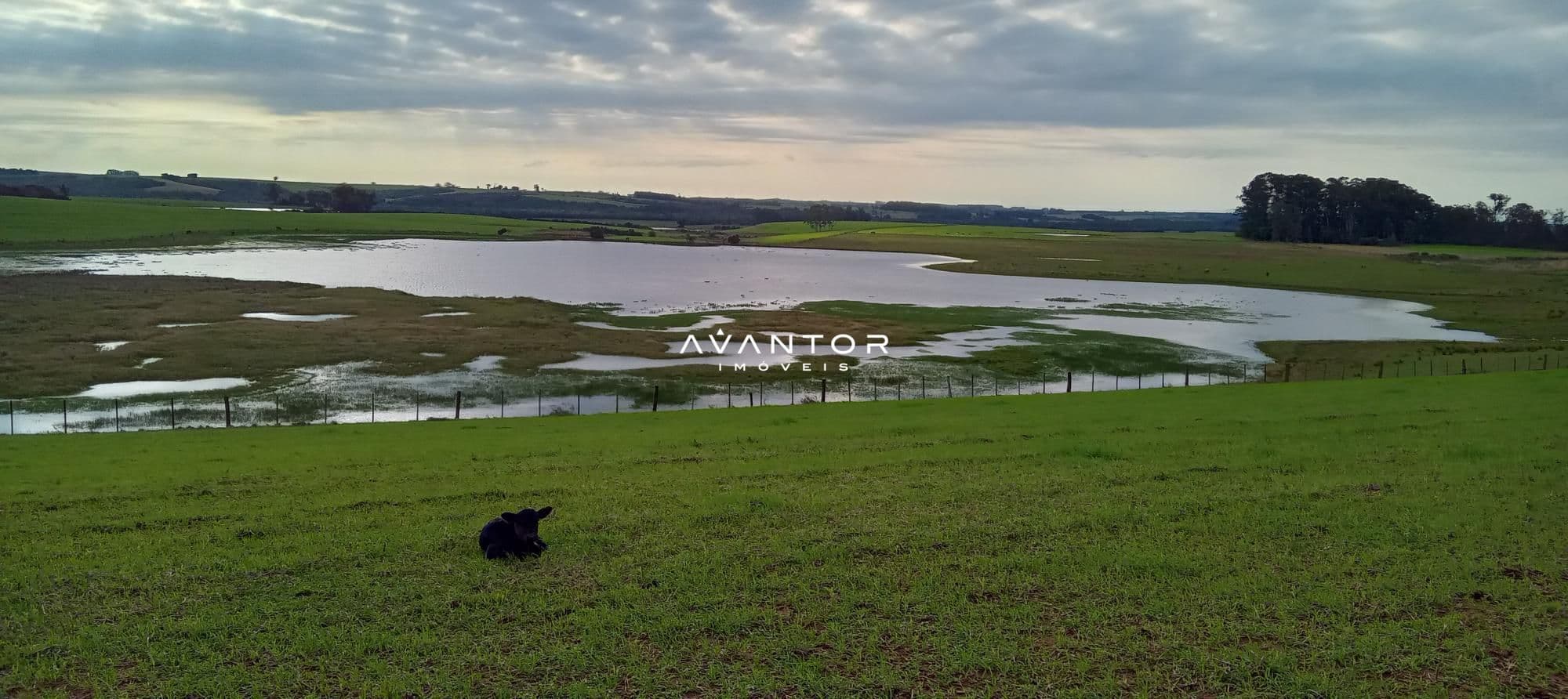 Campo à venda em Zona Rural, Cachoeira do Sul/RS — foto 17 de 26