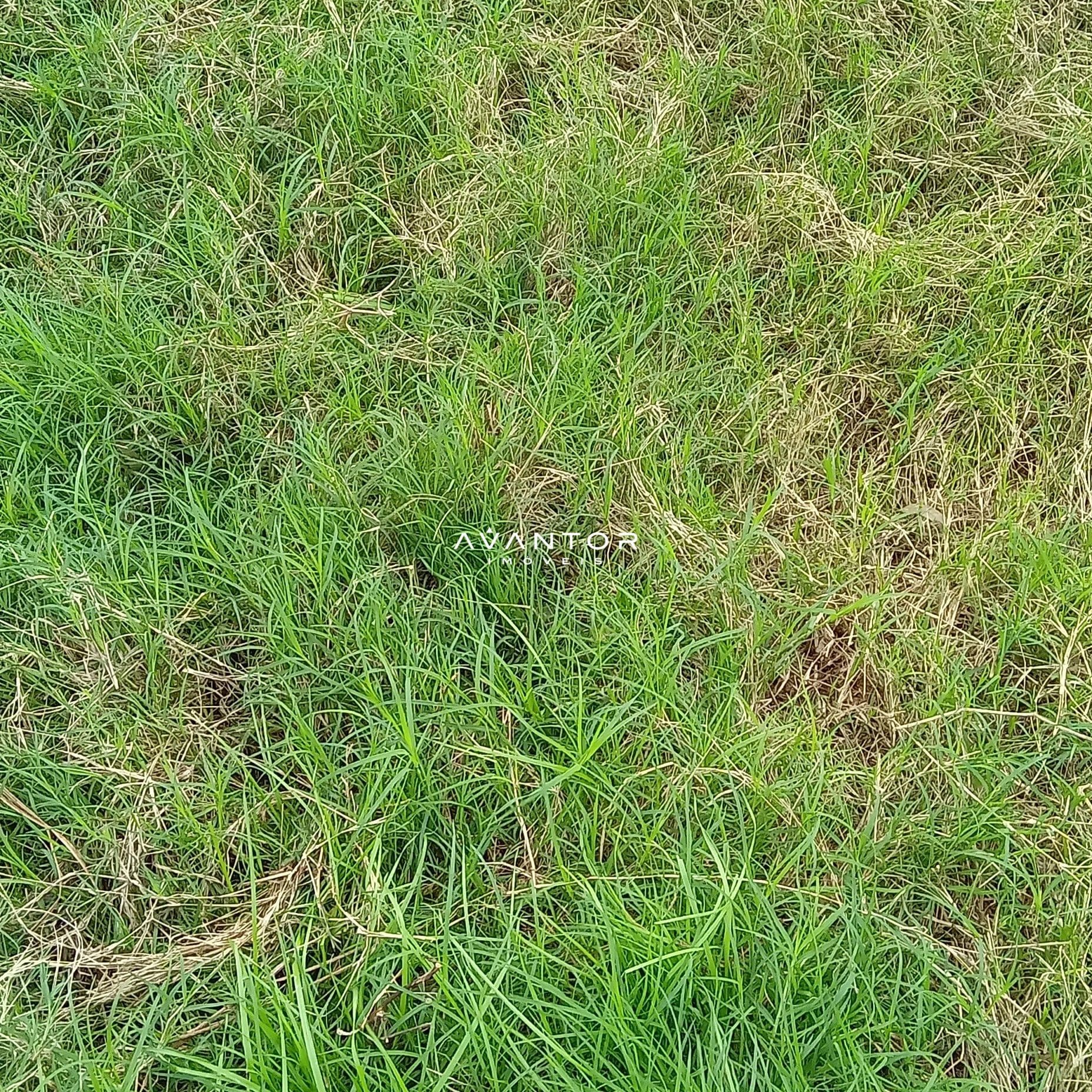 Campo à venda em Zona Rural, Cachoeira do Sul/RS — foto 18 de 26