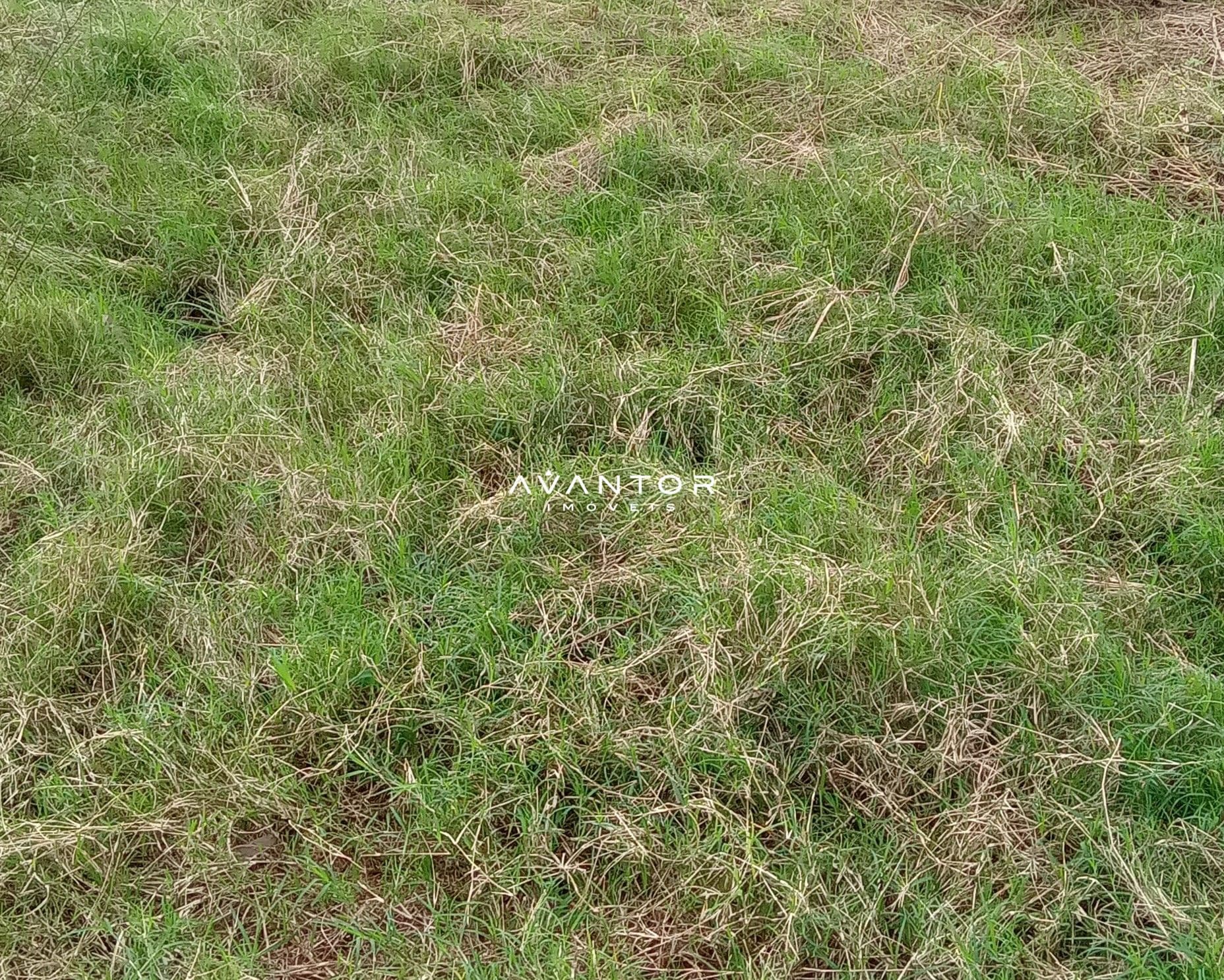 Campo à venda em Zona Rural, Cachoeira do Sul/RS — foto 19 de 26