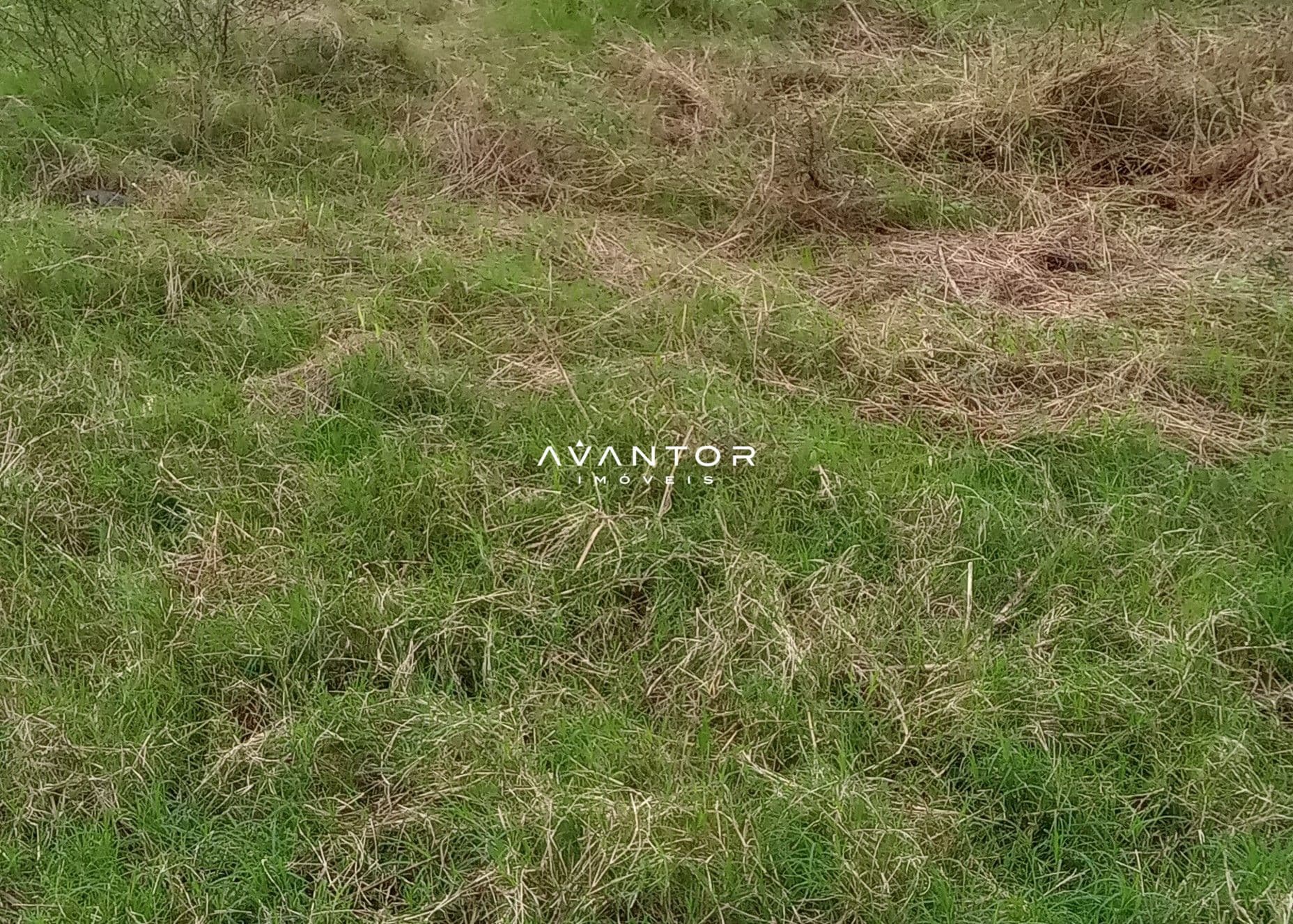 Campo à venda em Zona Rural, Cachoeira do Sul/RS — foto 20 de 26