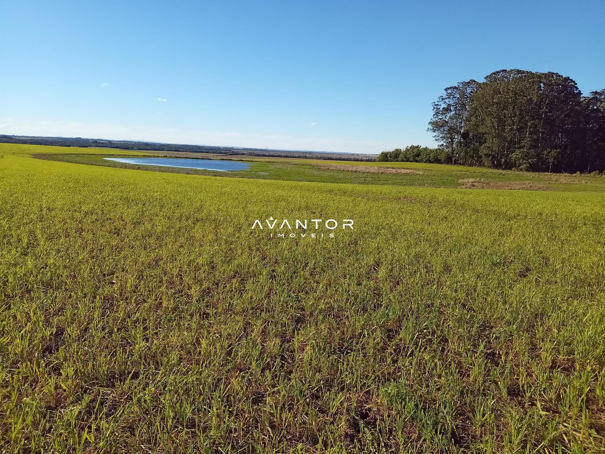 Campo à venda em Zona Rural, Cachoeira do Sul/RS — foto 23 de 26