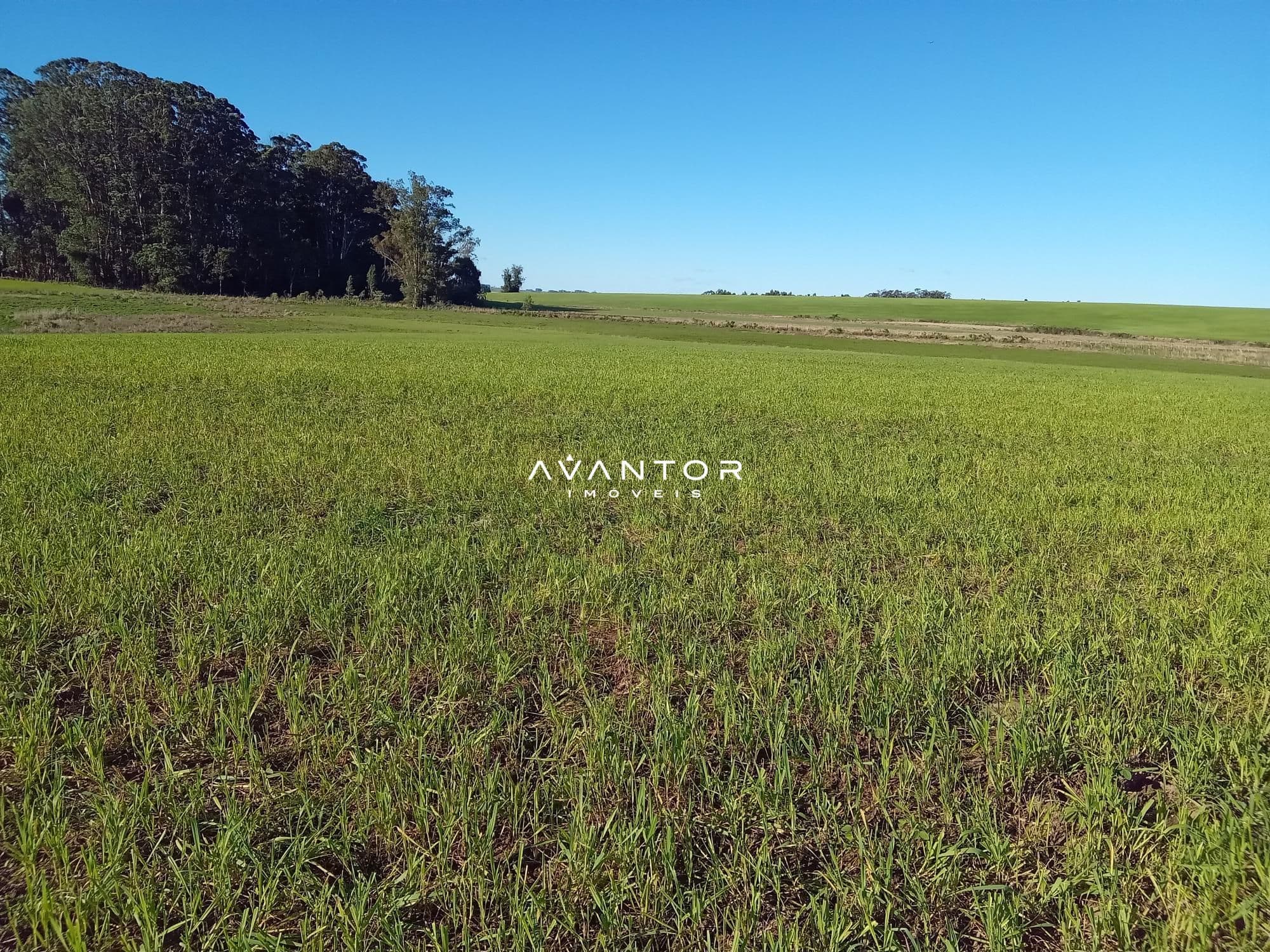 Campo à venda em Zona Rural, Cachoeira do Sul/RS — foto 24 de 26