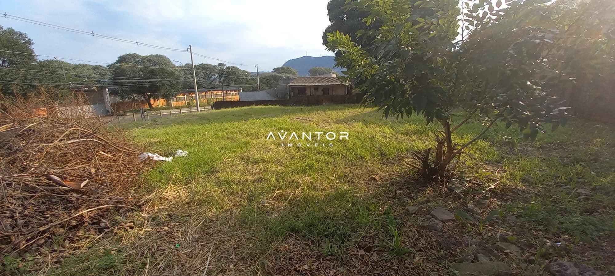 Terreno à venda em Nossa Senhora do Rosário, Santa Maria/RS — foto 4 de 6