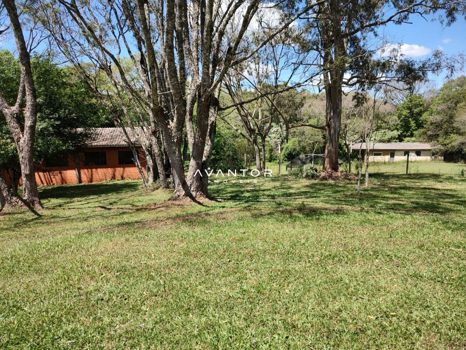 Chácara com 4 quartos à venda em Estação do Pinhal, Itaara/RS — foto 5 de 15