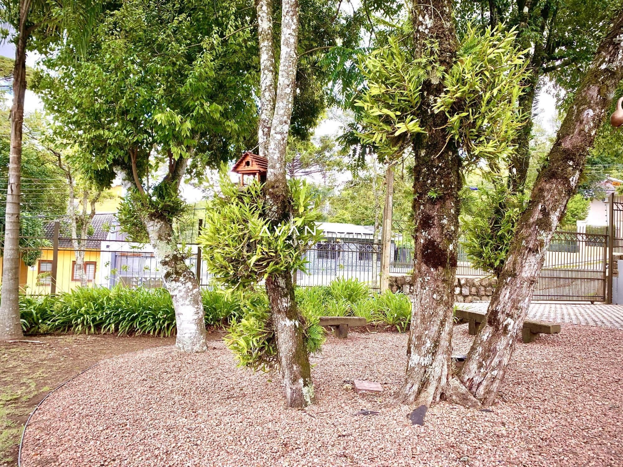 Casa com 4 quartos à venda em Parque Pinhal, Itaara/RS — foto 8 de 50