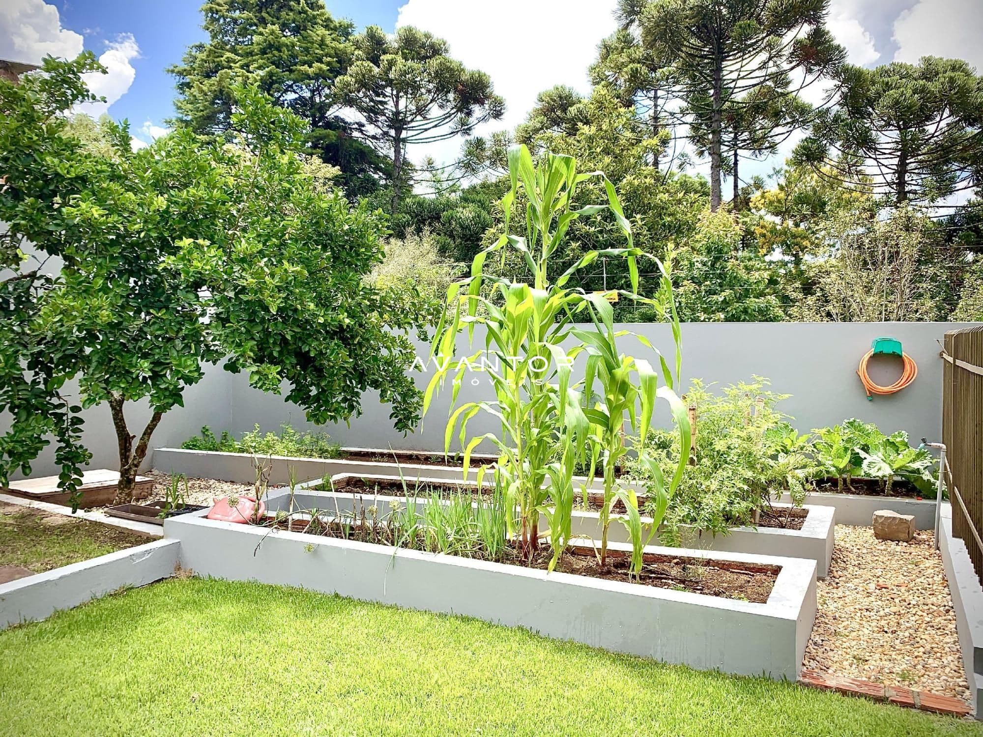 Casa com 4 quartos à venda em Parque Pinhal, Itaara/RS — foto 13 de 50