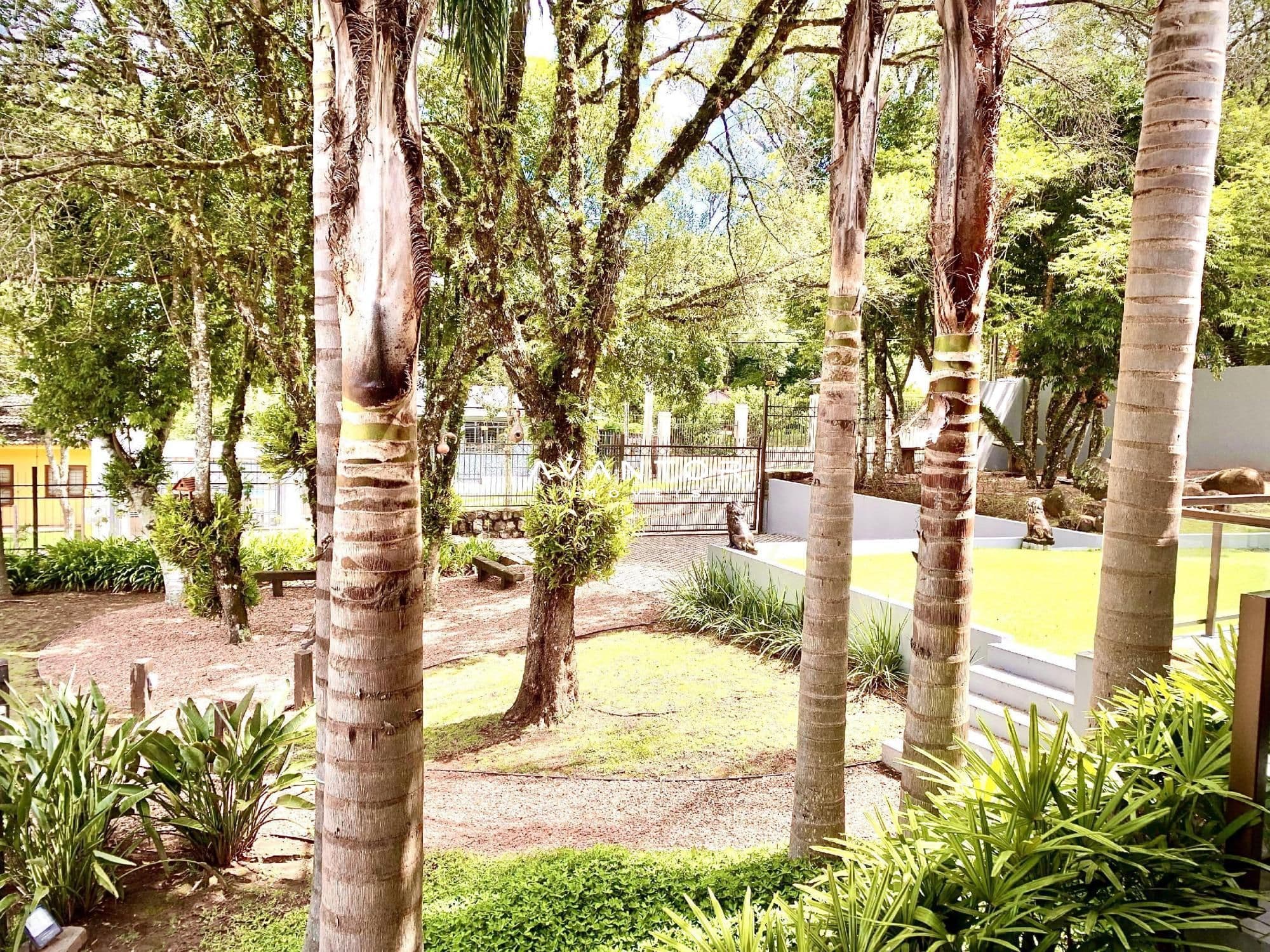 Casa com 4 quartos à venda em Parque Pinhal, Itaara/RS — foto 20 de 50