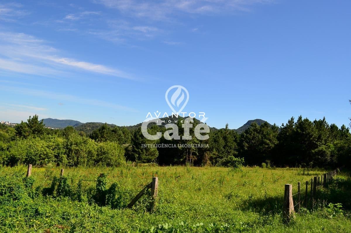 Terreno com vista para serra e vegetação — Terreno à venda em Camobi, Santa Maria/RS