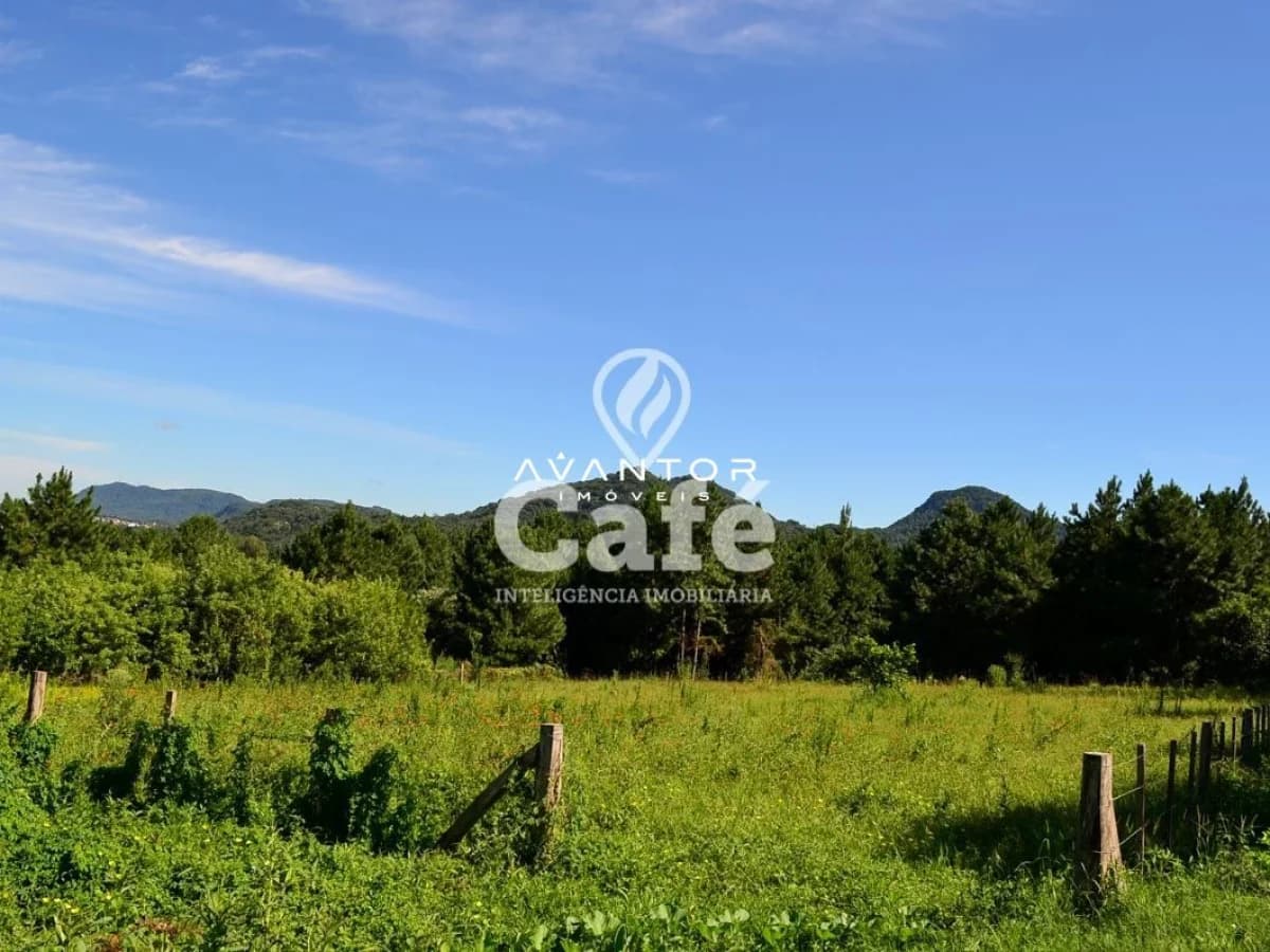 Terreno com vista para serra e vegetação — Terreno à venda em Camobi, Santa Maria/RS