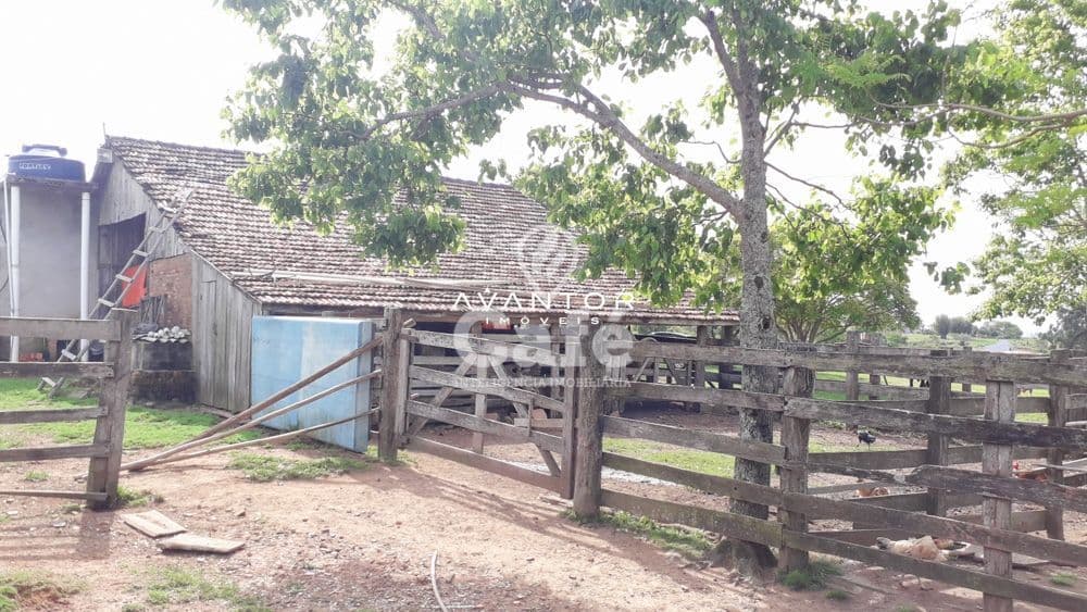 Chácara com 3 quartos à venda em Zona Rural, São Sepé/RS — foto 12 de 35