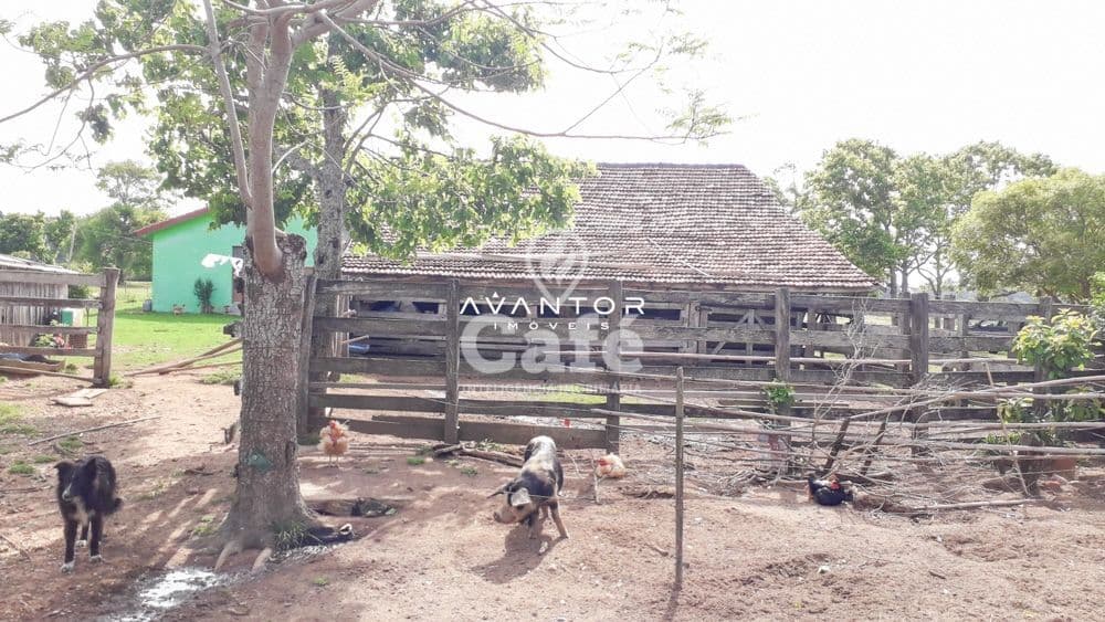 Chácara com 3 quartos à venda em Zona Rural, São Sepé/RS — foto 13 de 35