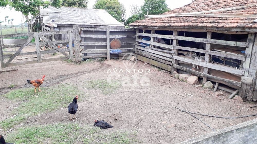 Chácara com 3 quartos à venda em Zona Rural, São Sepé/RS — foto 14 de 35