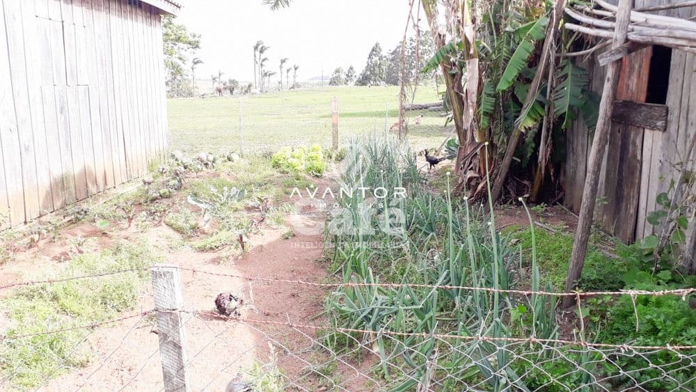 Chácara com 3 quartos à venda em Zona Rural, São Sepé/RS — foto 22 de 35