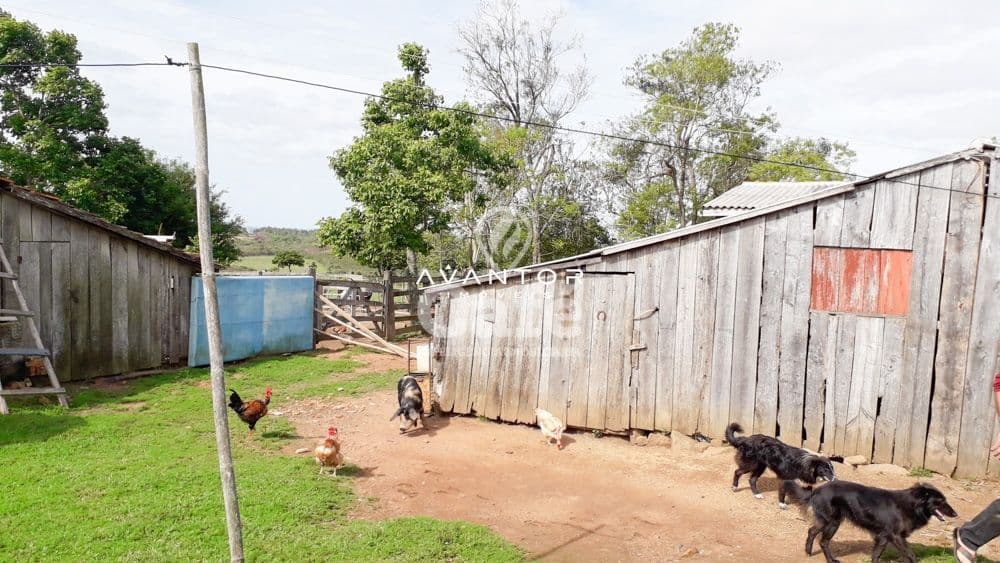Chácara com 3 quartos à venda em Zona Rural, São Sepé/RS — foto 23 de 35