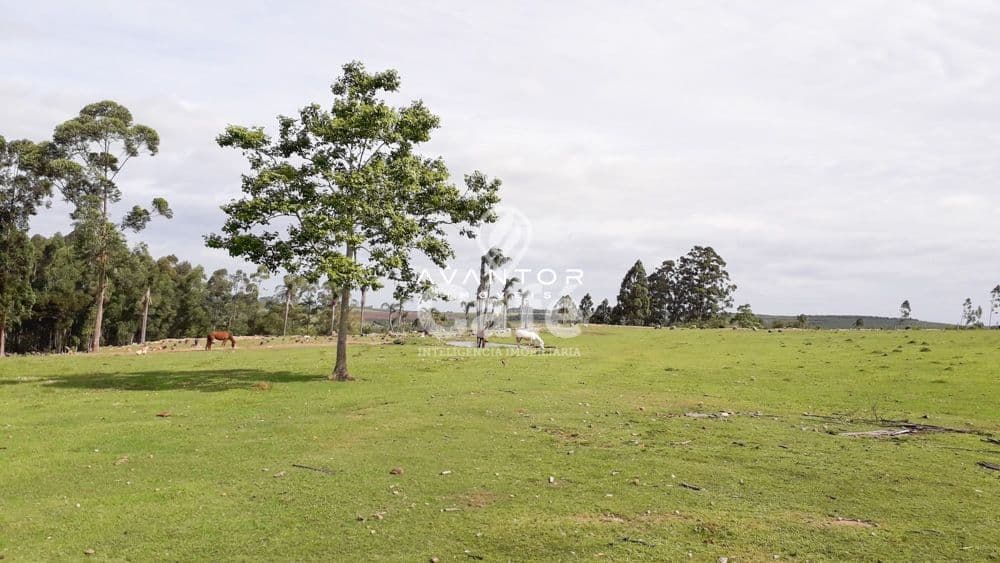 Chácara com 3 quartos à venda em Zona Rural, São Sepé/RS — foto 27 de 35