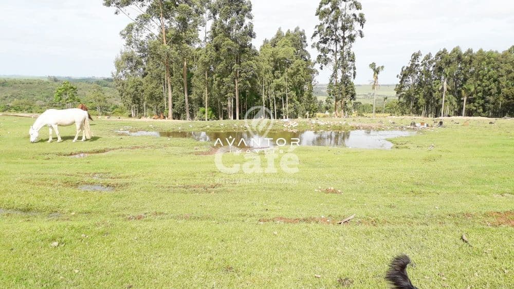 Chácara com 3 quartos à venda em Zona Rural, São Sepé/RS — foto 30 de 35