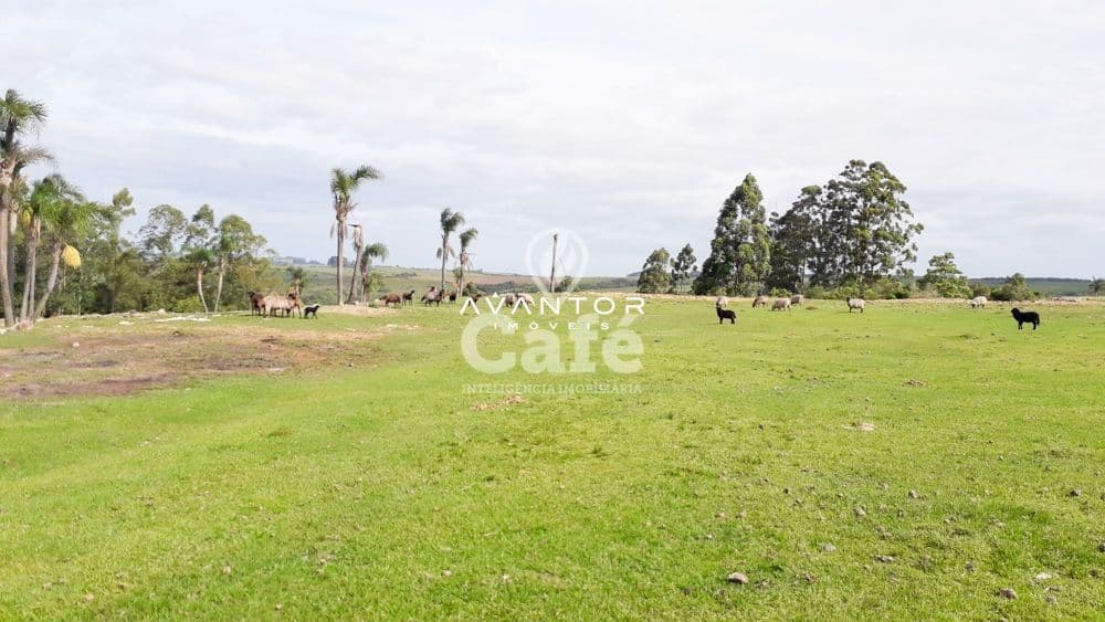 Chácara com 3 quartos à venda em Zona Rural, São Sepé/RS — foto 31 de 35