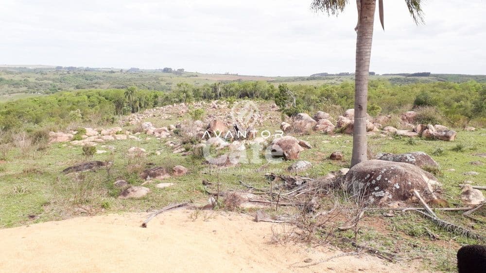 Chácara com 3 quartos à venda em Zona Rural, São Sepé/RS — foto 33 de 35
