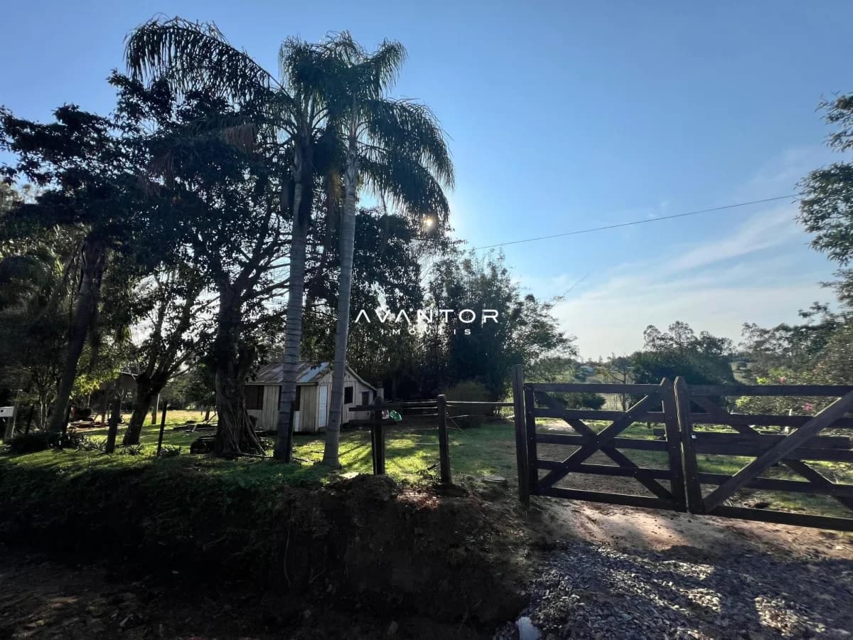 Terreno com árvores e portão de entrada — Chácara à venda em Tancredo Neves, Santa Maria/RS