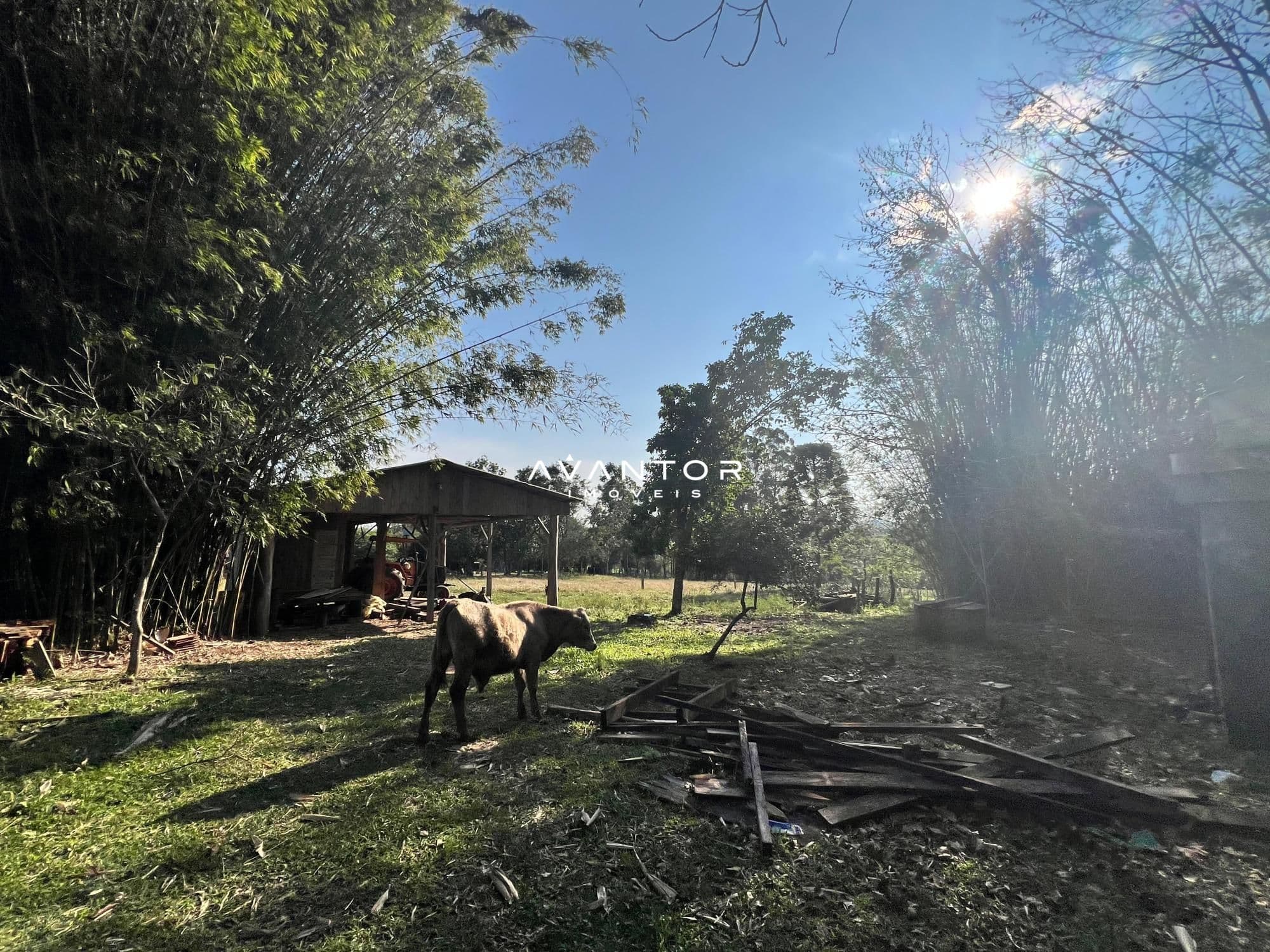Chácara à venda em Tancredo Neves, Santa Maria/RS — foto 3 de 11