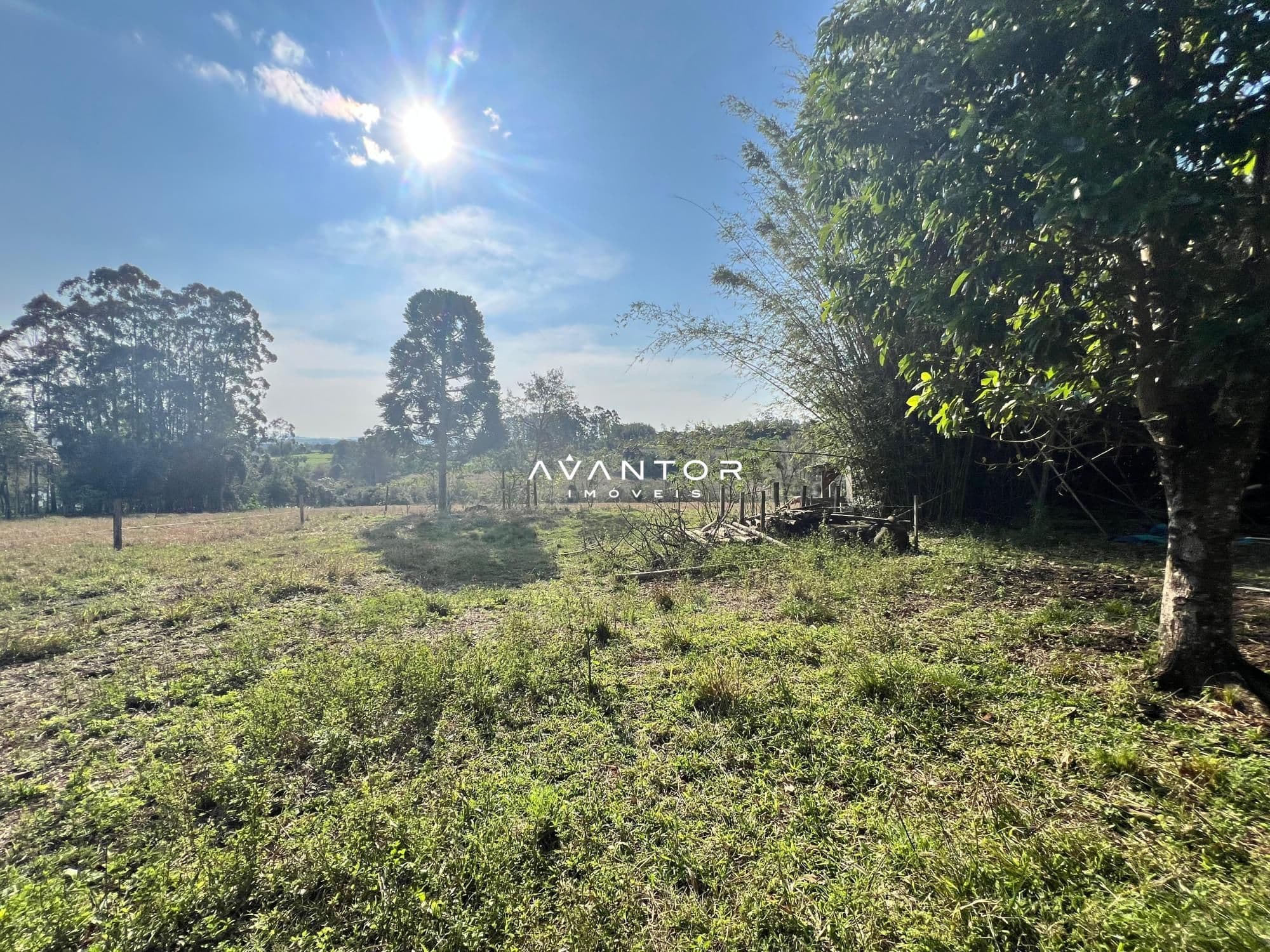 Chácara à venda em Tancredo Neves, Santa Maria/RS — foto 5 de 11