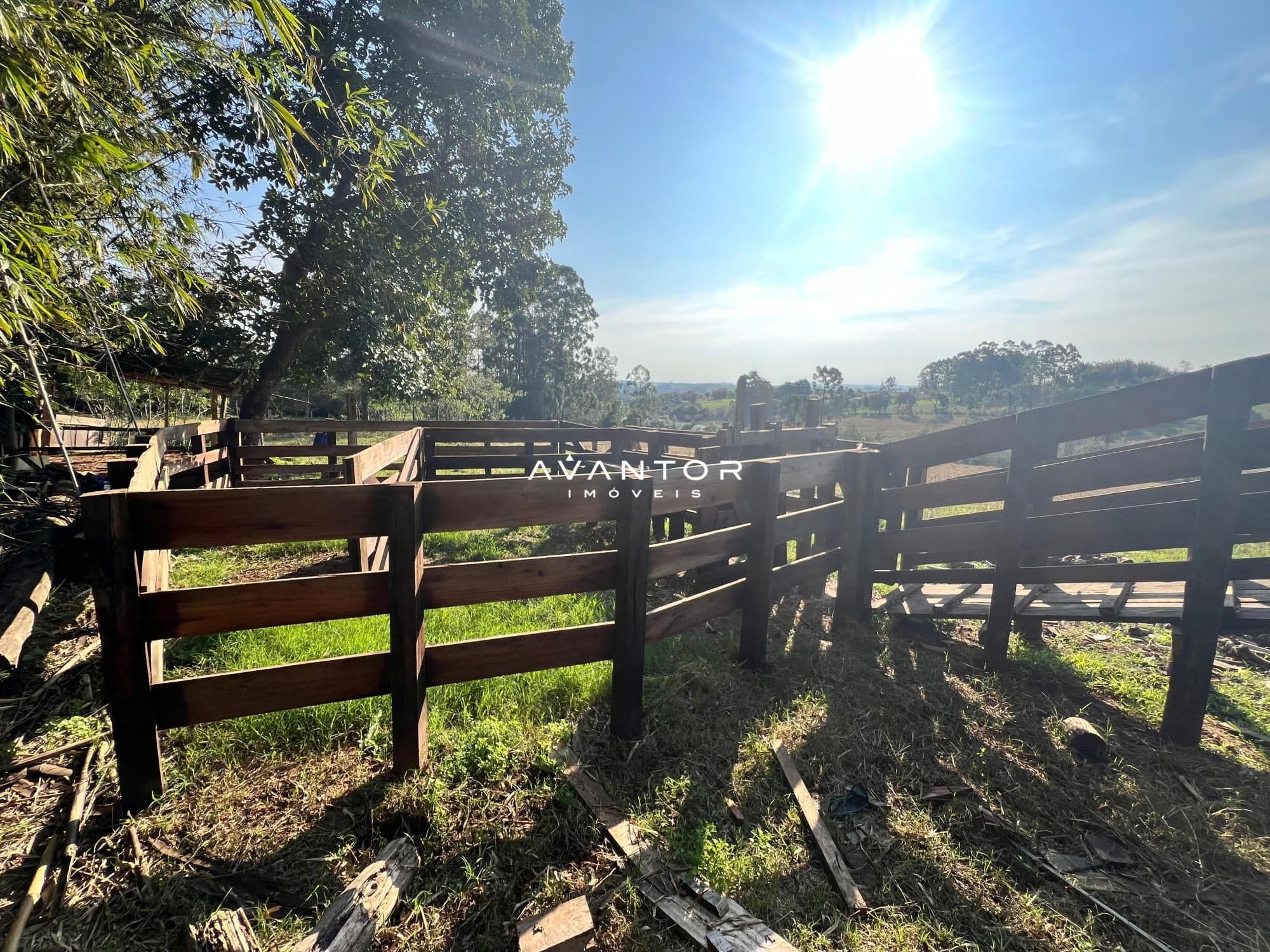 Chácara à venda em Tancredo Neves, Santa Maria/RS — foto 7 de 11
