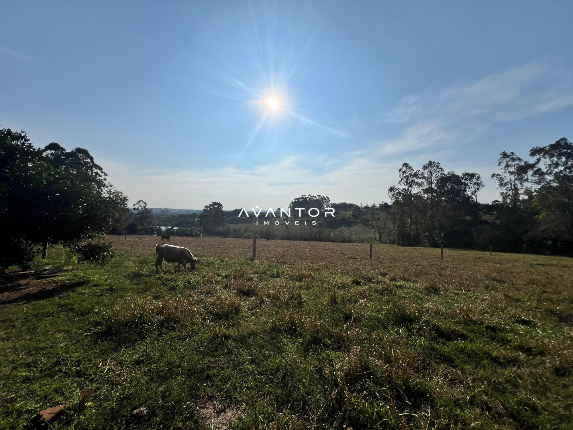 Chácara à venda em Tancredo Neves, Santa Maria/RS — foto 8 de 11