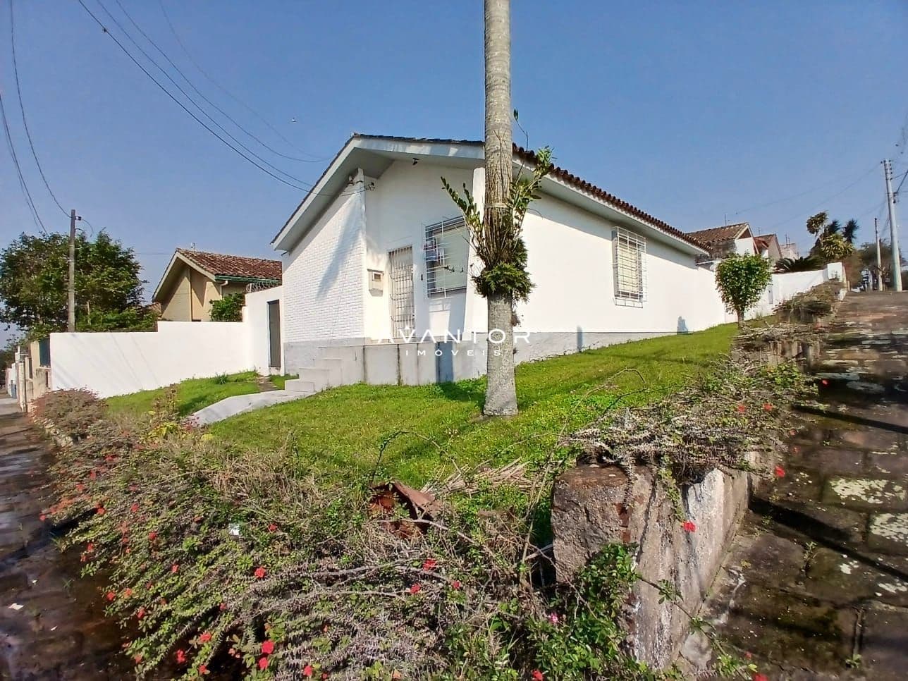 Casa com 3 quartos à venda em Patronato, Santa Maria/RS — foto 5 de 29