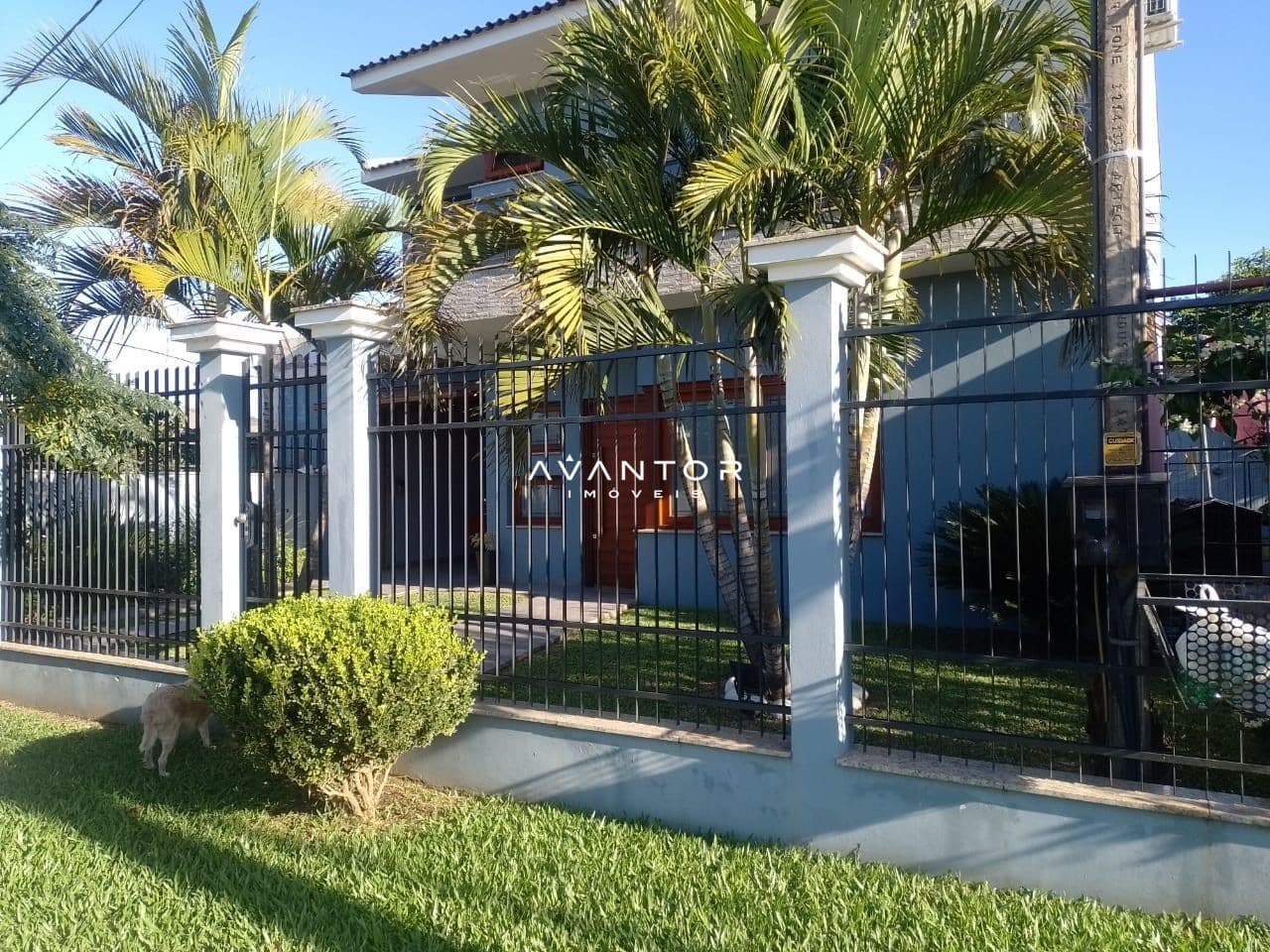 Fachada da casa com portão e palmeiras — Casa com 3 quartos à venda em Pinheiro Machado, Santa Maria/RS