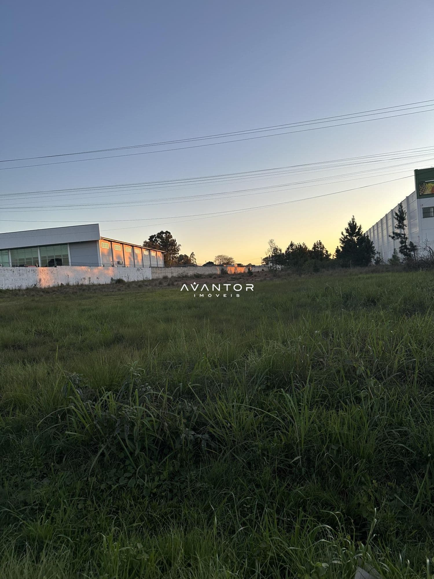 Terreno com construções ao fundo — Terreno à venda em Dom Antônio Reis, Santa Maria/RS
