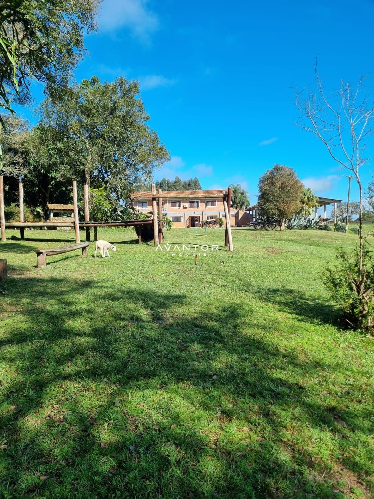 Chácara com 3 quartos à venda em Boca do Monte, Santa Maria/RS — foto 7 de 34