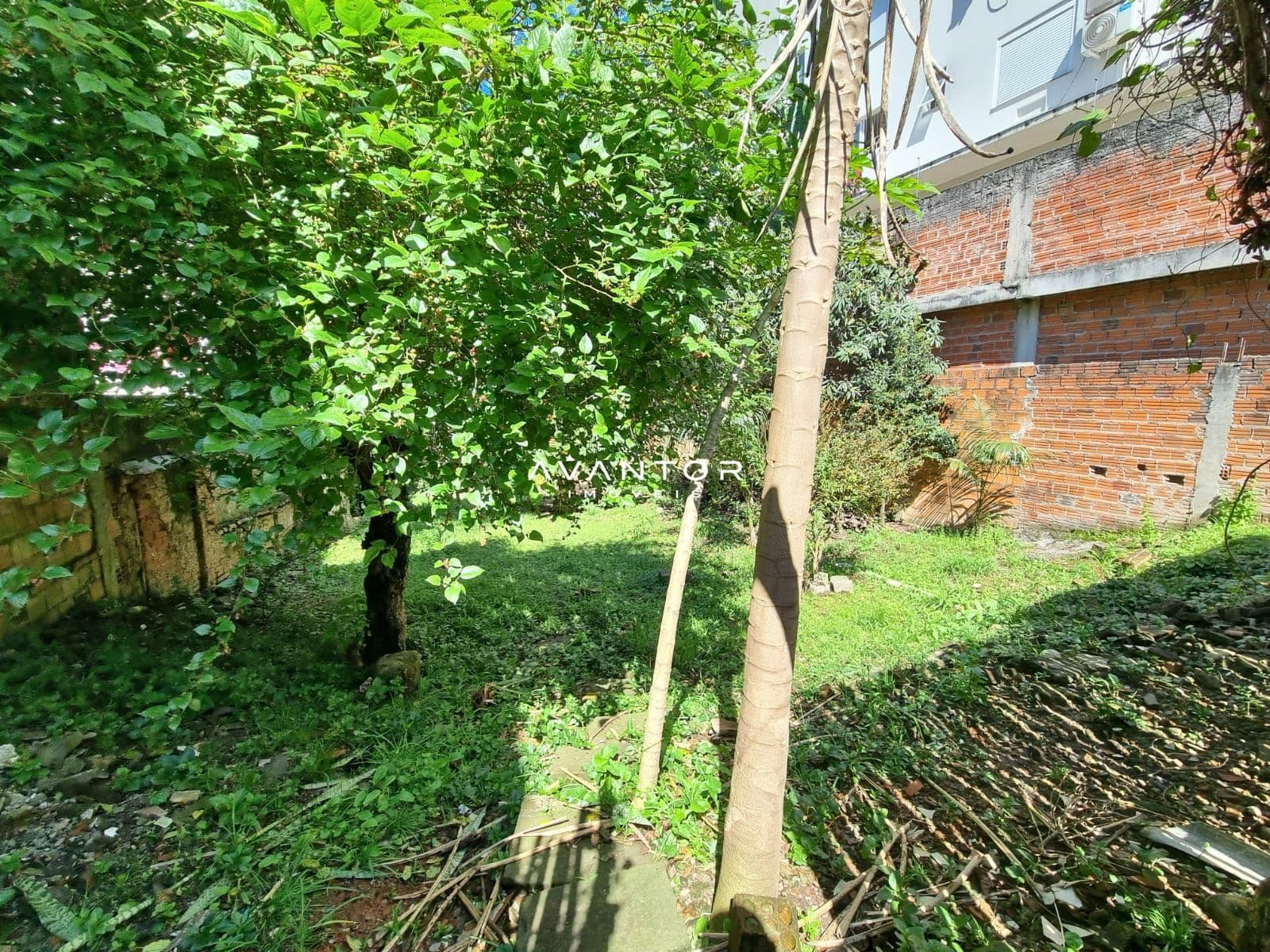 Casa com 3 quartos à venda em Nossa Senhora do Rosário, Santa Maria/RS — foto 6 de 15